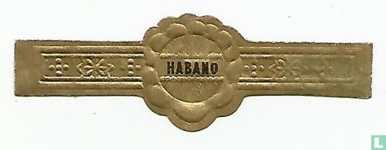Habano - Afbeelding 1