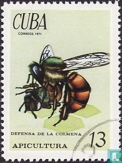 Bienenzucht   