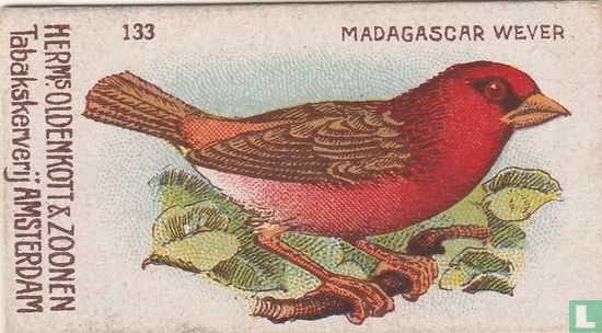 Madagascar Wever