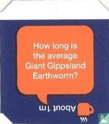 How long is the average Giant Gippsland Earthworm? - About 1m - Afbeelding 1