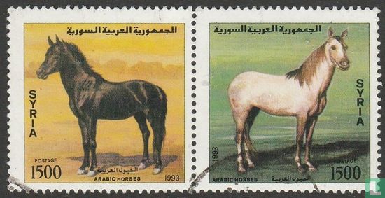 Arabische Pferde