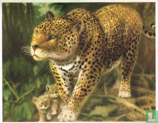 De Jaguar - Afbeelding 1
