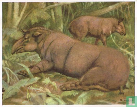 De Amerikaanse Tapir - Afbeelding 1