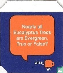 Nearly all Eucalyptus Trees are Evergreen. True or False? - True - Afbeelding 1
