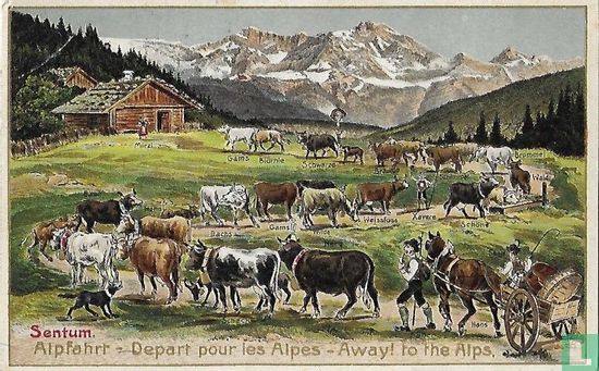 Alpfahrt - Départ pour les Alpes - Away! to the Alps - Bild 1