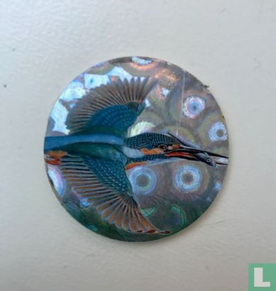 Kingfisher / hummingbird with fish - Image 1