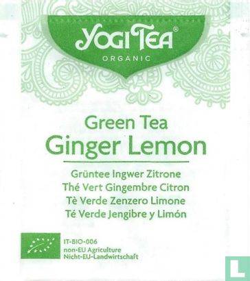 Green Tea Ginger Lemon - Afbeelding 1