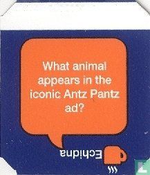What animal appears in the iconic Antz Pantz ad? - Echidna - Image 1