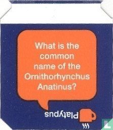What is the common name of the Ornithorhynchus Anatinus? - Platypus - Image 1