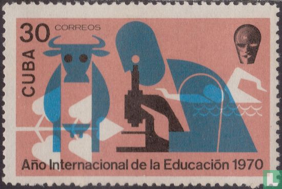 Internationales Jahr der Bildung