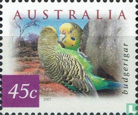 Oiseaux du désert