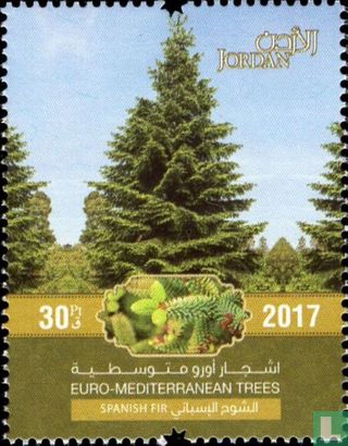 Trees of the Mediterranean area