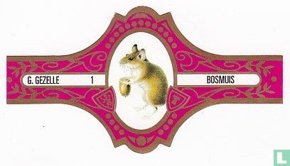 Bosmuis - Image 1