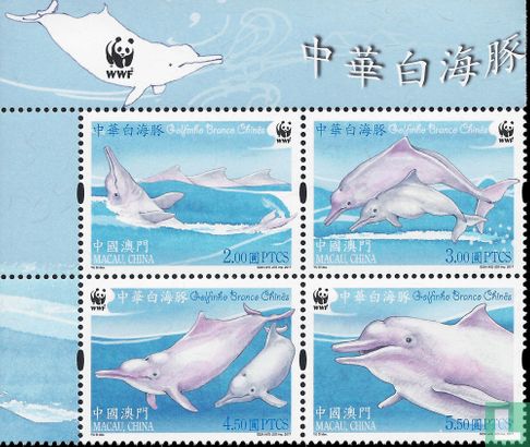 White dolphins