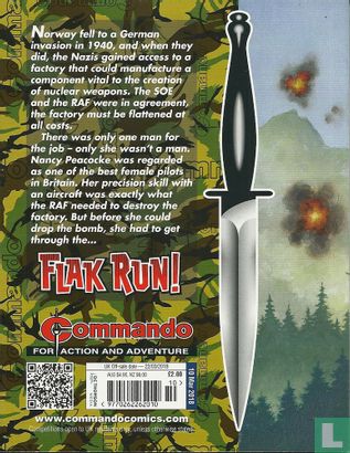 Flak Run! - Image 2