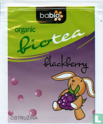 blackberry - Image 1
