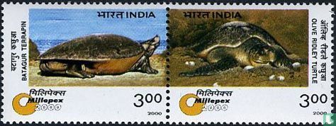 Millepex 2000 Stamp Exhibition