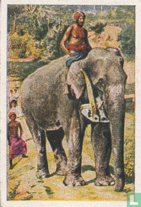 De olifant als landbouwer - Afbeelding 1