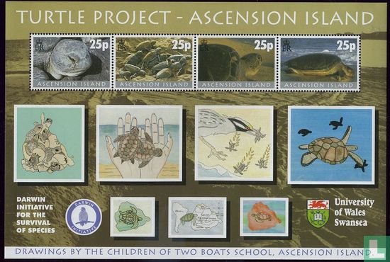Turtle Project