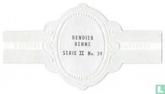 Rendier - Afbeelding 2
