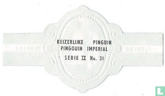 Imperial penguin - Image 2