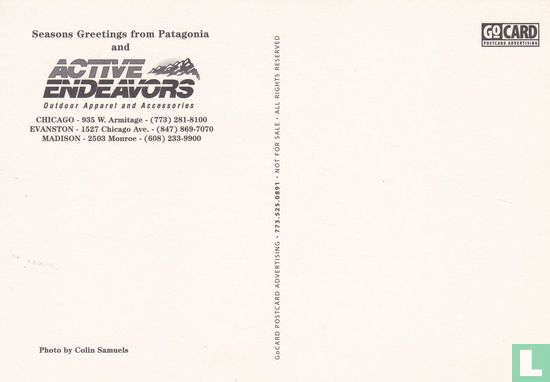 Active Endeavors - Image 2