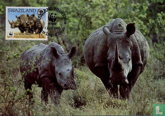 WWF-White Rhinoceros