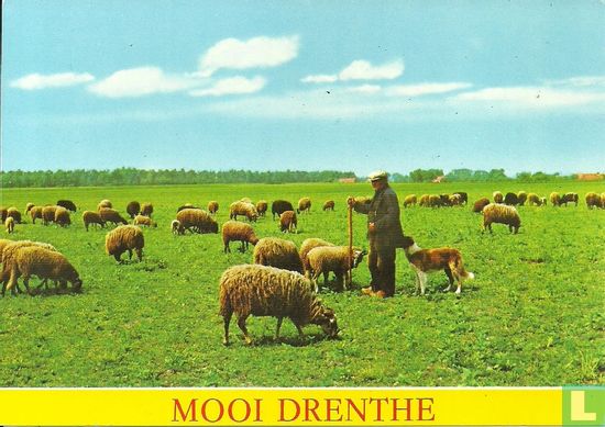 Mooi Drenthe - Bild 1