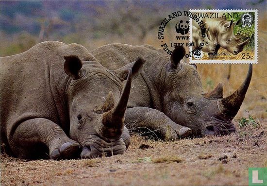 WWF-White Rhinoceros
