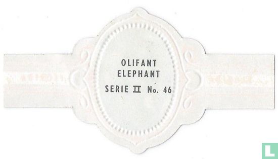 Elefant - Bild 2