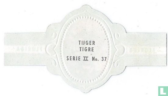 Tiger - Bild 2