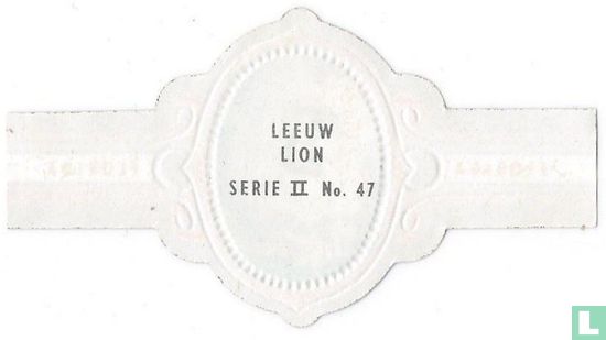 Lion - Image 2