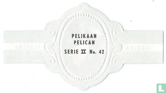 Pelican - Image 2