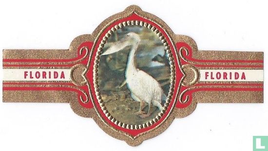 Pelican - Image 1