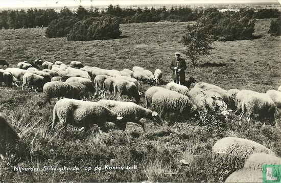 Nijverdal, schaapherder op de Koningsbelt - Bild 1