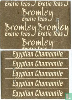 Egyptian Chamomile - Afbeelding 3