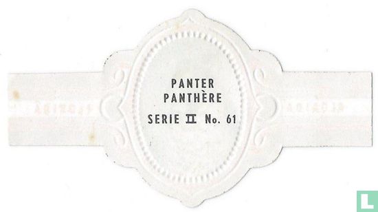 Panther - Image 2