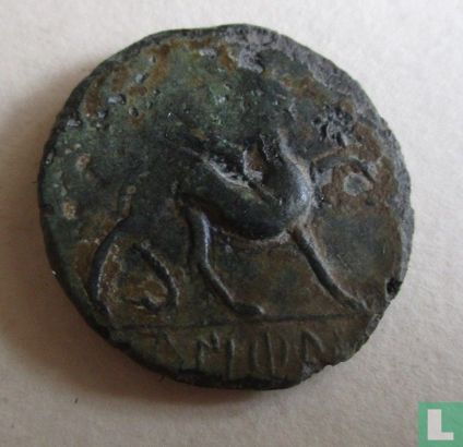 Castulo, Spanje - (Keltisch) Romeinse Rijk  AE25  200-100 BCE - Afbeelding 1