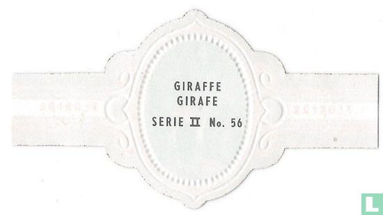 Giraffe - Image 2