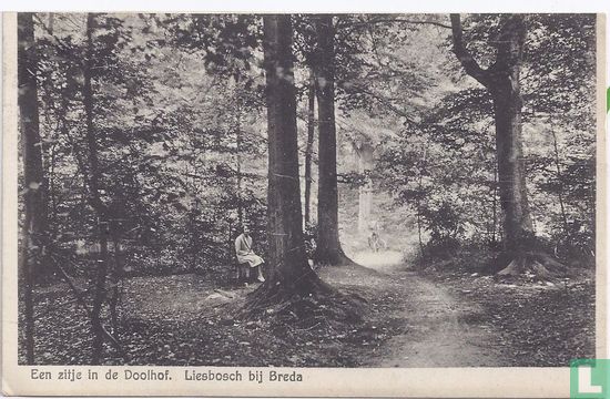 Doolhof Liesbosch