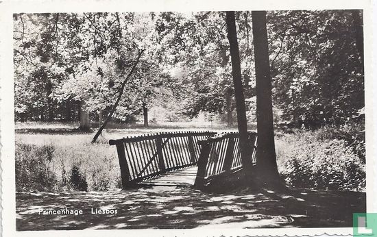 Engelse Park Liesbos