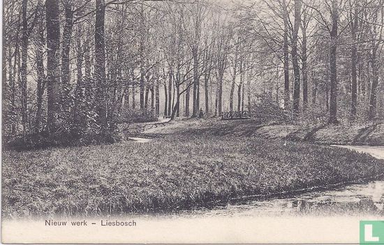 Engelse Park Liesbosch