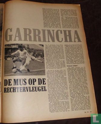 Garrincha - De mus op de rechtervleugel - Image 3