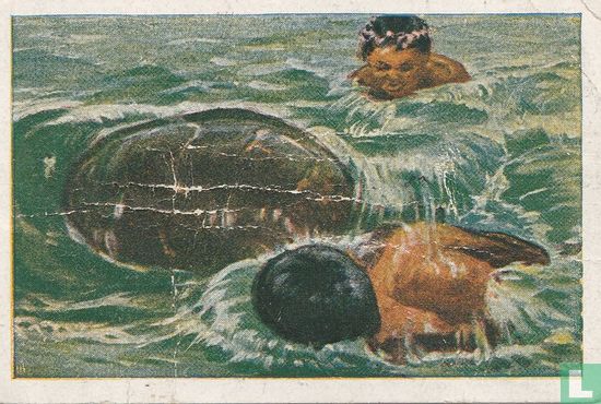 Worsteling met schildpad - Image 1