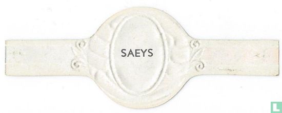 Saeys - Bild 2