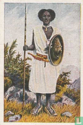 Een Abessinier - Afbeelding 1