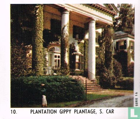 Gippy plantage, S. Car