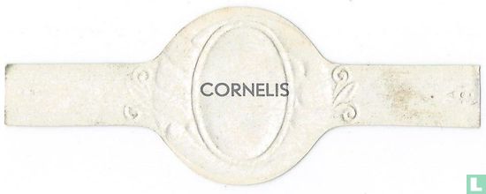 Cornelis - Image 2