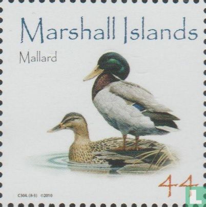Mallard