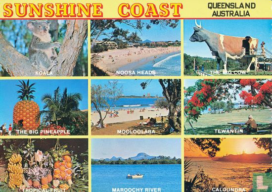 Sunshine Coast Queensland Australia